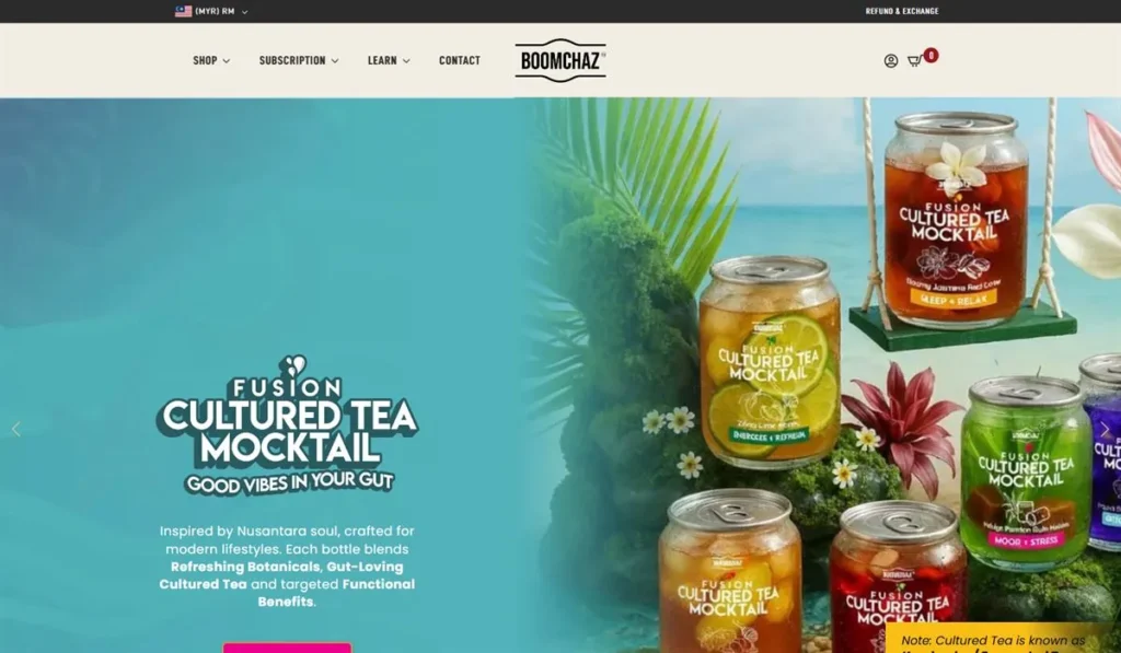 boomchaz.com website built by Benamici